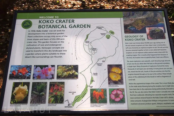 Botanical Garden In a Volcano Crater?