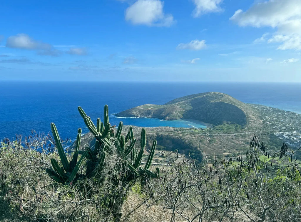 Lavahut - Koko Head Stairs Hike