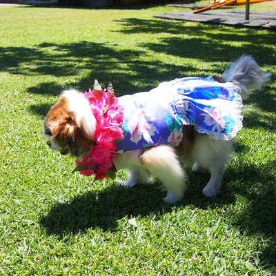 Luau Purple Hawaiian Dog Dress - Made In Hawaii