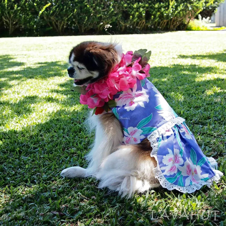 Luau Purple Hawaiian Dog Dress - Made in Hawaii