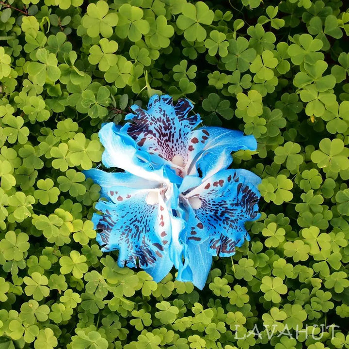 Orchid Blooms Blue Hawaiian Flower Hair Clip - Made in Hawaii