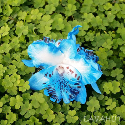 Orchid Blooms Blue Hawaiian Flower Hair Clip - Made In Hawaii