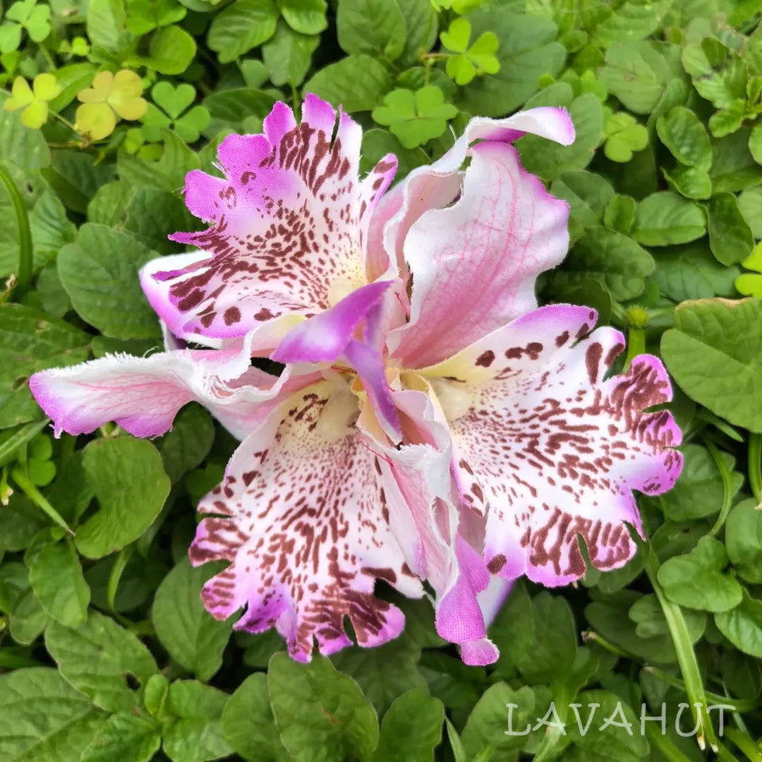 Orchid Blooms Lilac Hawaiian Flower Hair Clip - Made in Hawaii