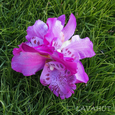 Orchid Blooms Plum Hawaiian Flower Hair Clip - Made In Hawaii
