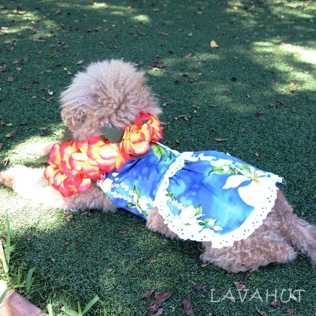 Orchid Purple Hawaiian Dog Dress - Made in Hawaii