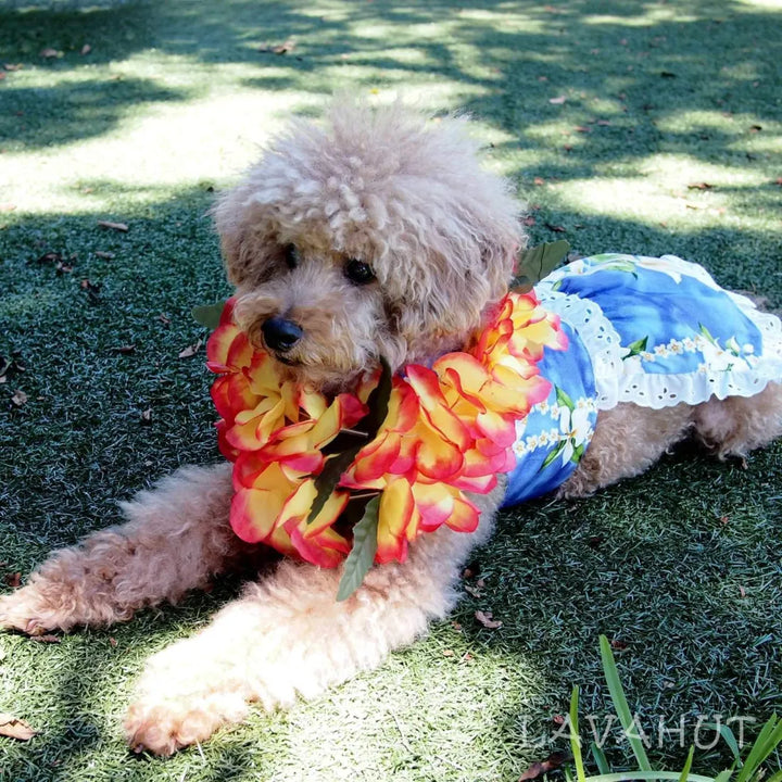 Orchid Purple Hawaiian Dog Dress - Made in Hawaii