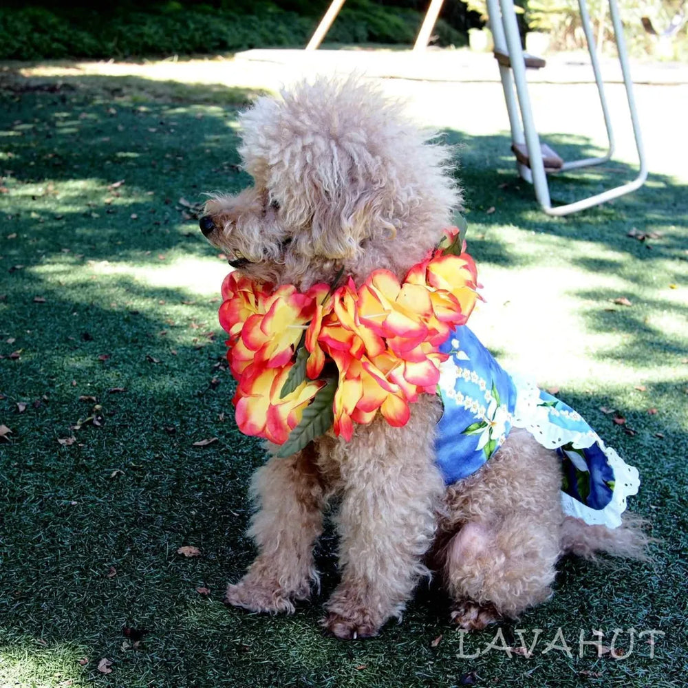 Orchid Purple Hawaiian Dog Dress - Made in Hawaii