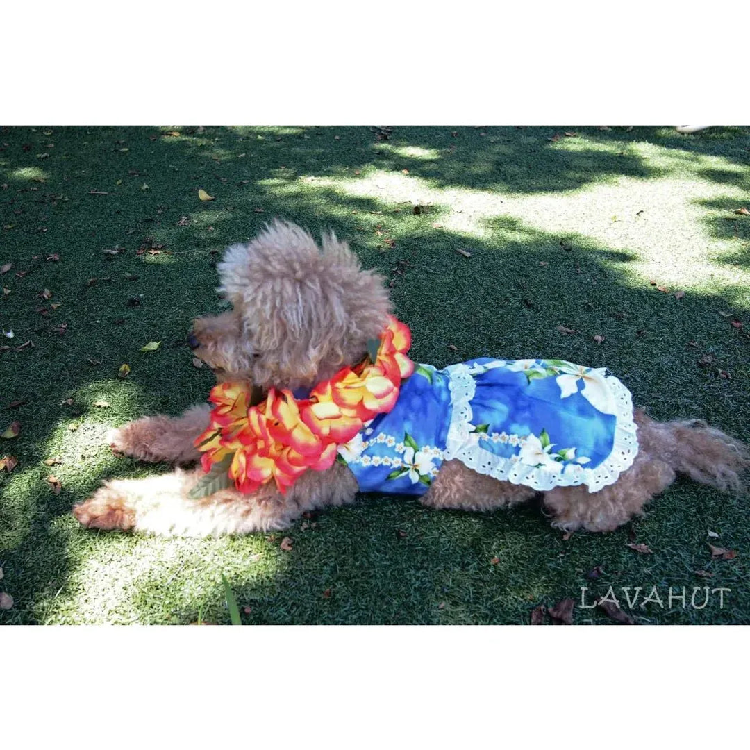 purple dog dresses Ruffled Mermaid Scale Dog Dress