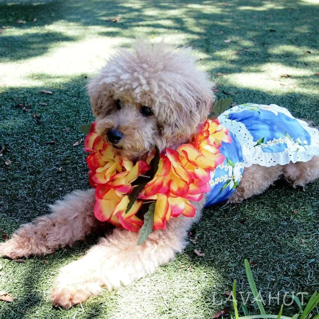 purple dog dress Ruffled Mermaid Scale Dog Dress