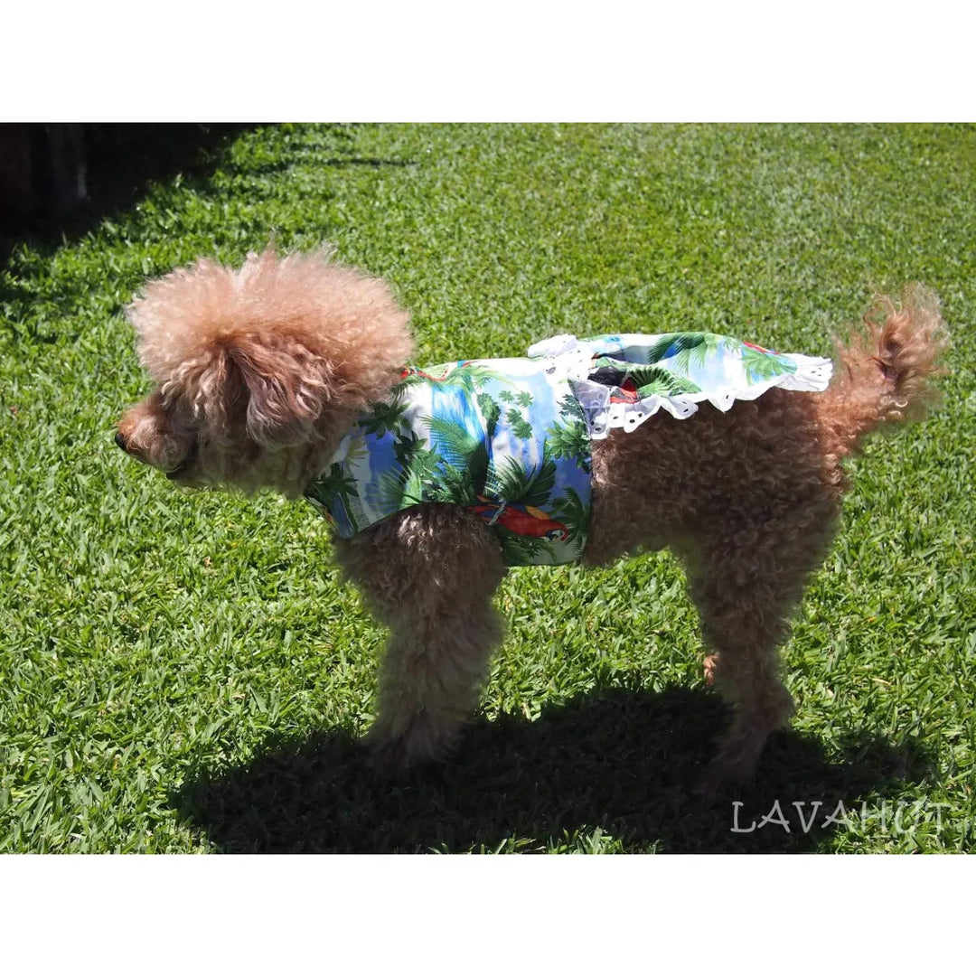 Parrot Blue Hawaiian Dog Dress - Made in Hawaii