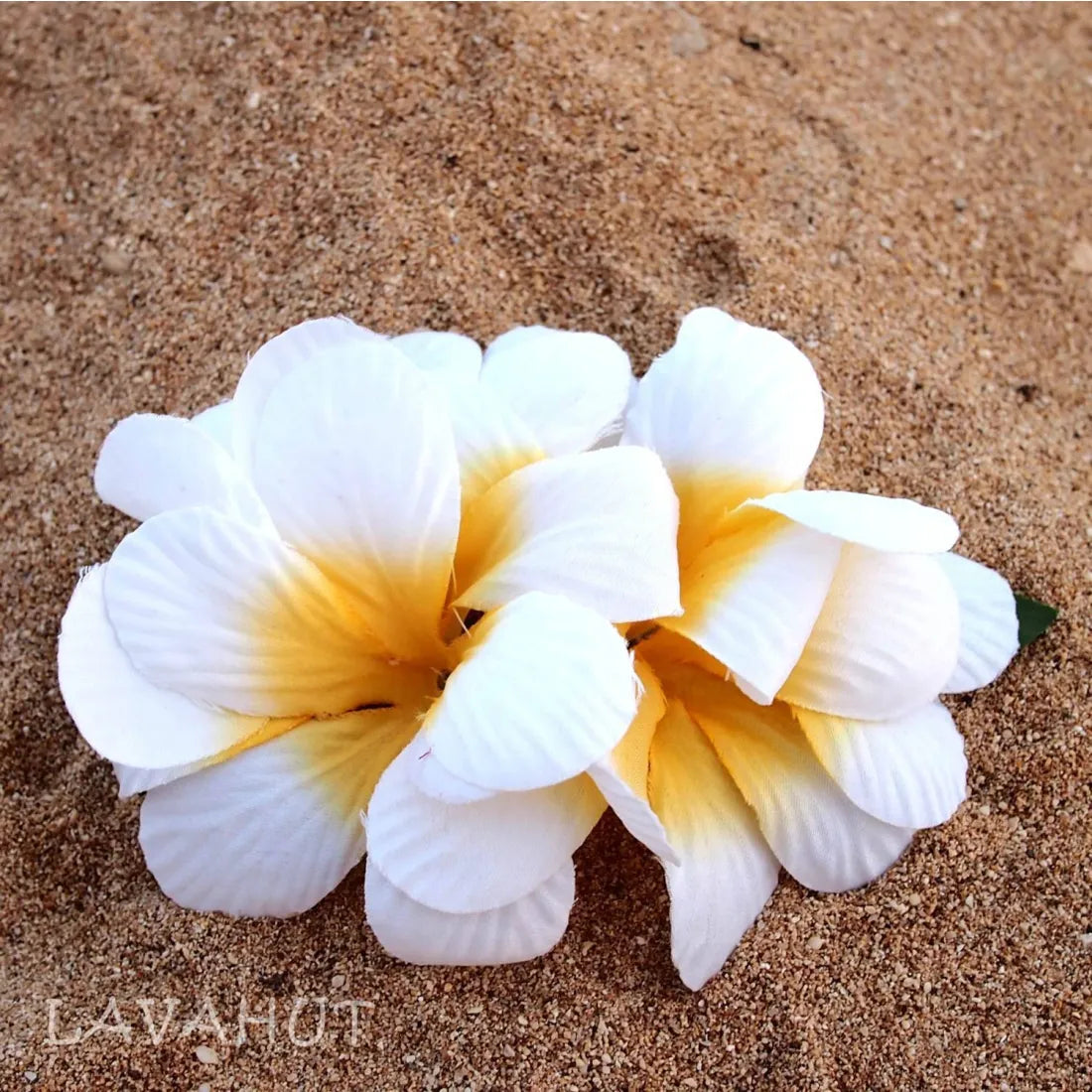 Plumeria White Hawaiian Flower Hair Clip - Made In Hawaii