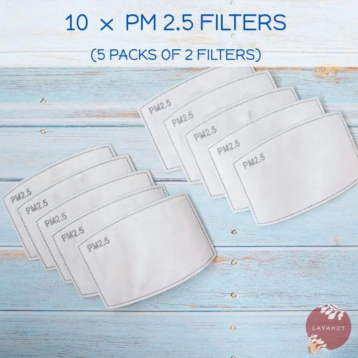 Pm 2.5 Filter • Activated Carbon - Made in Hawaii
