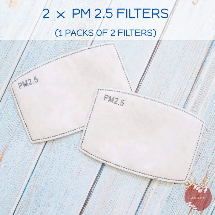 Pm 2.5 Filter ?? Activated Carbon - Made in Hawaii