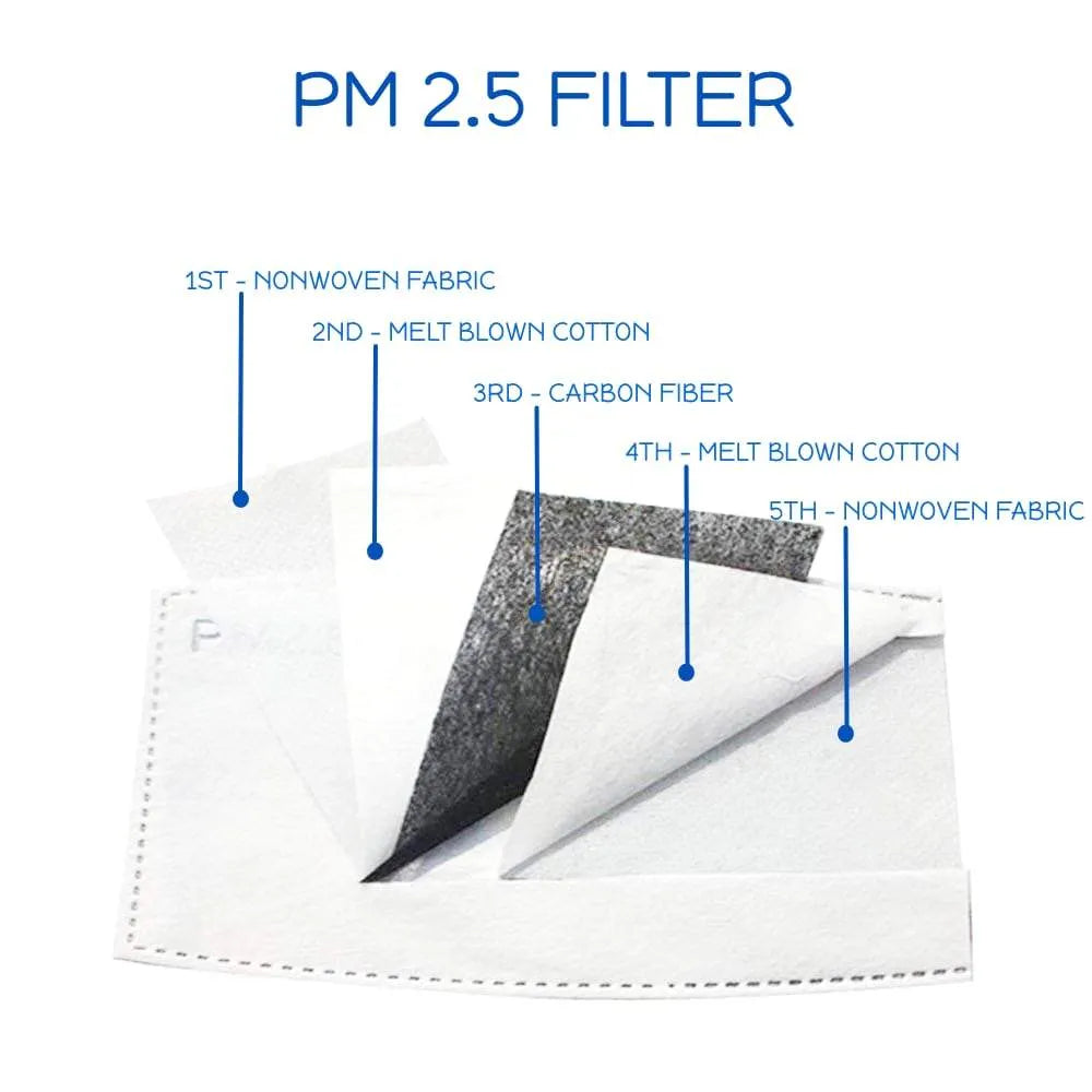 Pm 2.5 Filter ?? Activated Carbon - Made in Hawaii