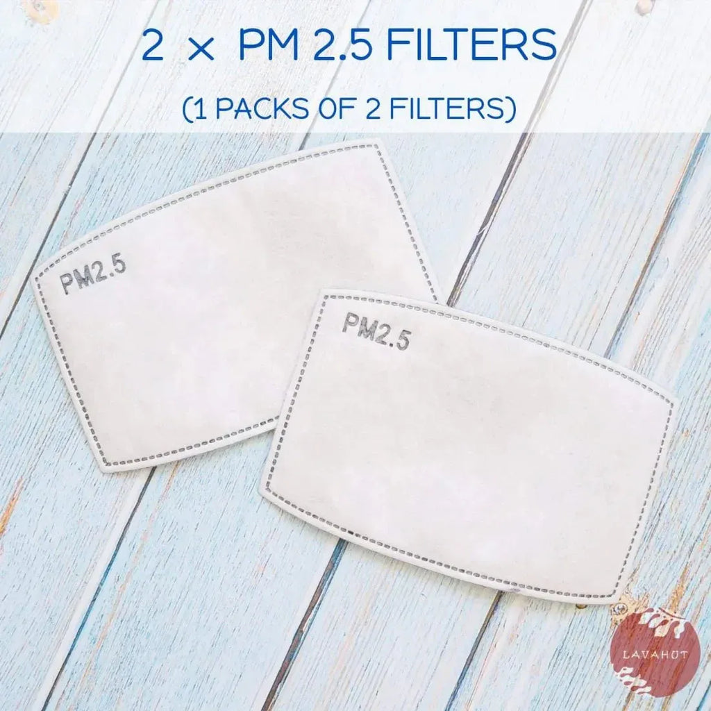 100 Pcs Activated Carbon PM2.5 Mask Filter Paper 5 Layers Replacement Pm 2 5 Face Filter Insert 100 Pcs Activated Carbon PM2.5 Mask Filter Paper 5 Layers Replacement Pm 2 5 Face Filter Insert