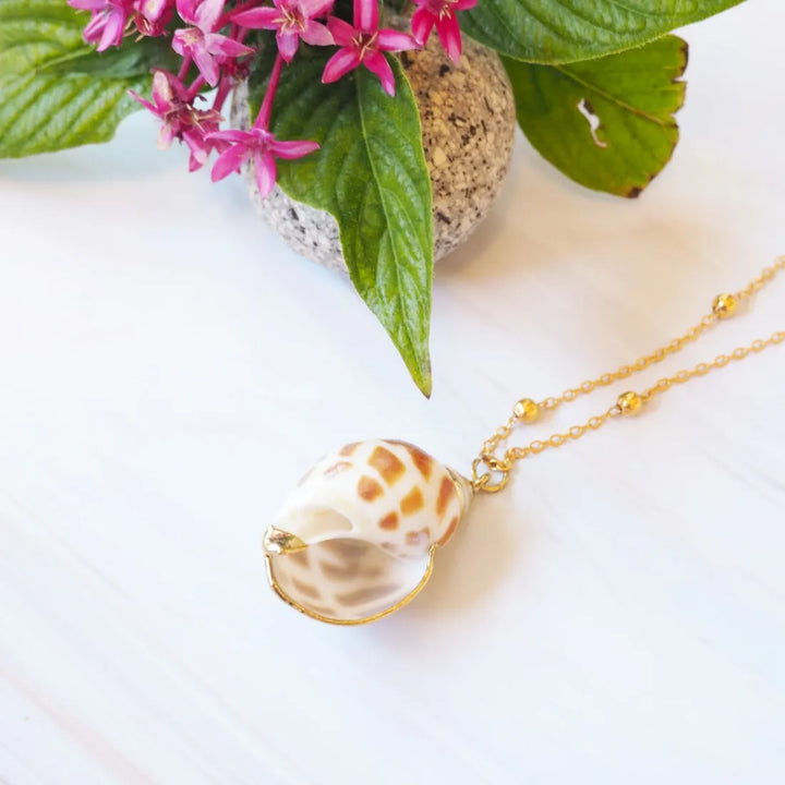 Pupukea Conch Seashell Hawaiian Pendant Necklace - Made in Hawaii