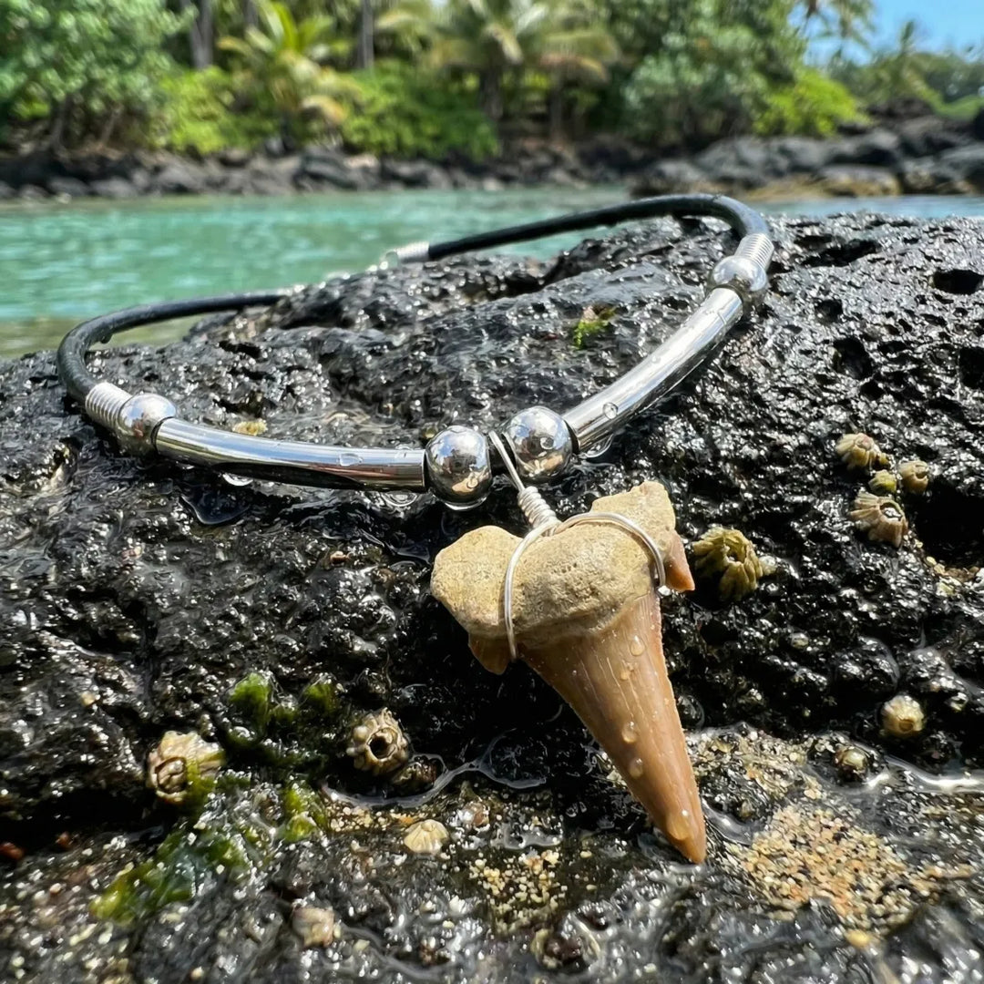 Pupukea Shark Tooth Necklace - Made in Hawaii