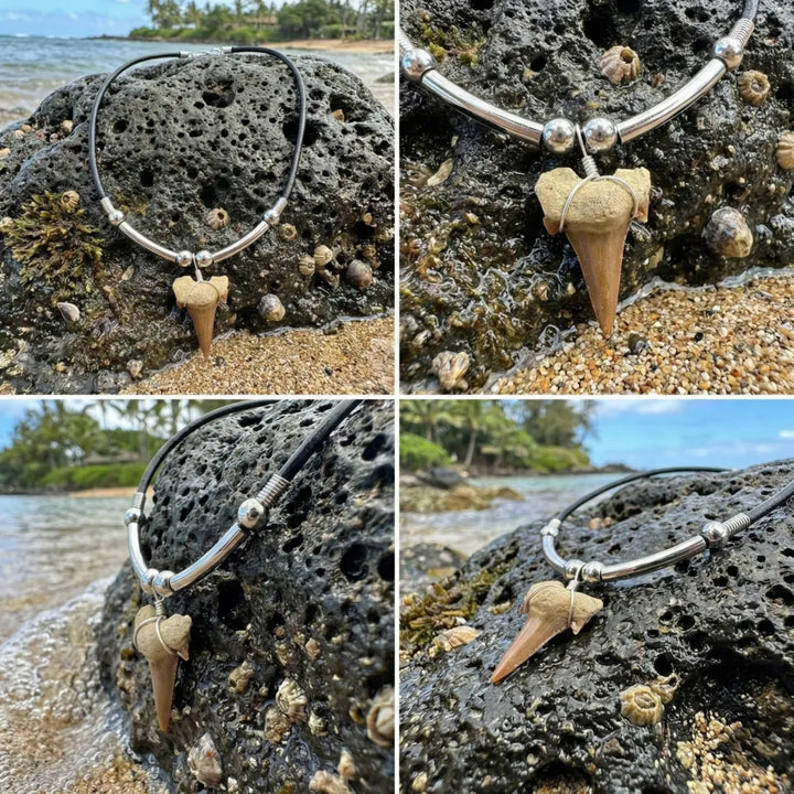 Pupukea Shark Tooth Necklace - Made in Hawaii
