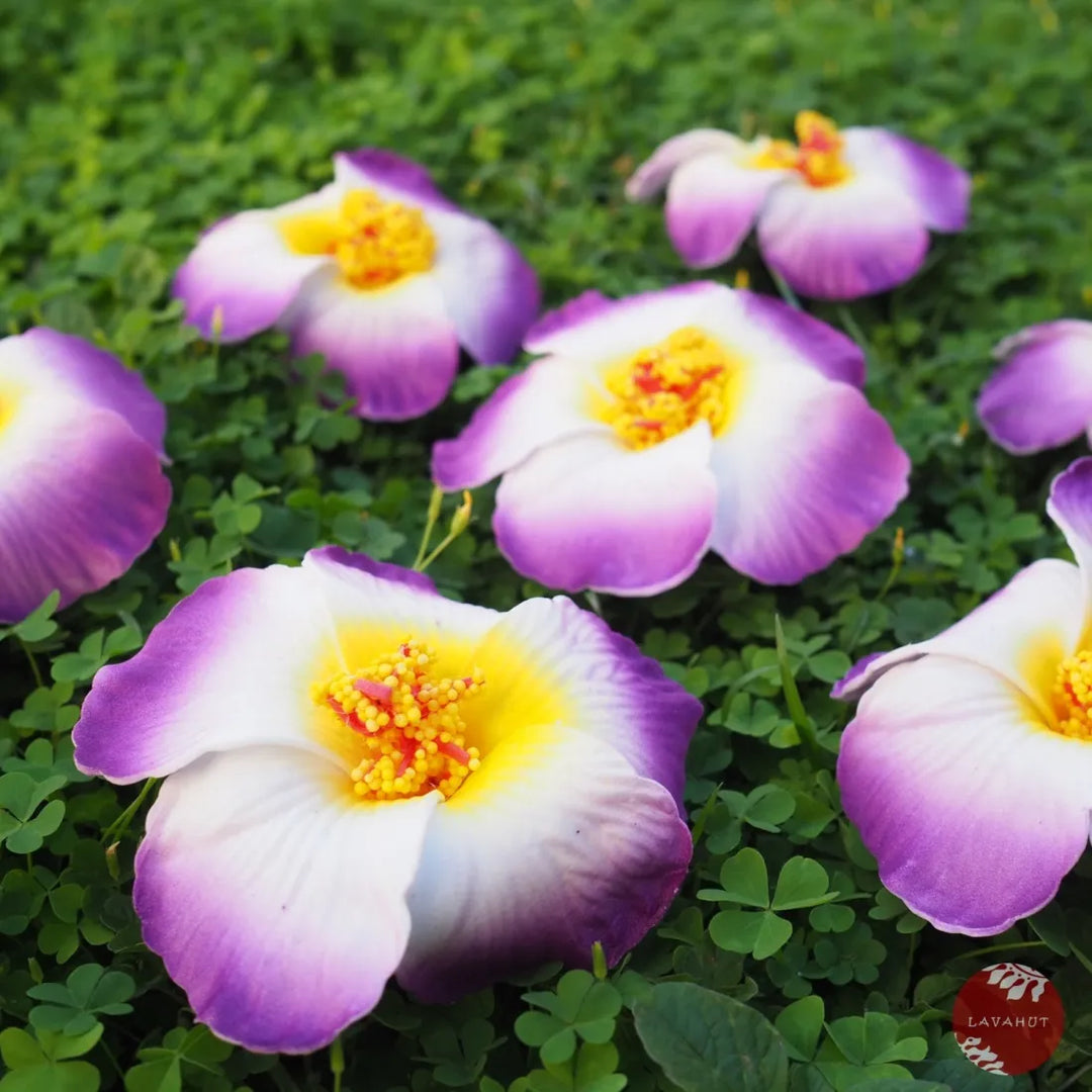 Purple Hibiscus Flower Hair Clip - Made in Hawaii