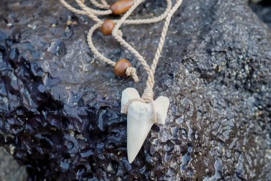 Pa’ia Fossil Shark Tooth Necklace - Made in Hawaii