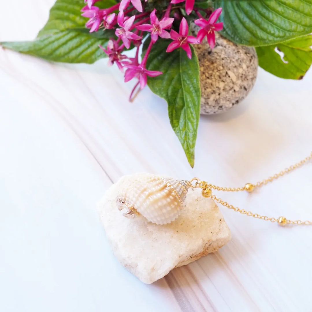 Tonna Tessalata Seashell Hawaiian Pendant Necklace - Made in Hawaii