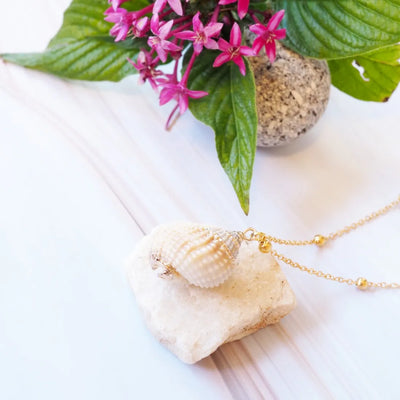 Tonna Tessalata Seashell Hawaiian Pendant Necklace - Made In Hawaii