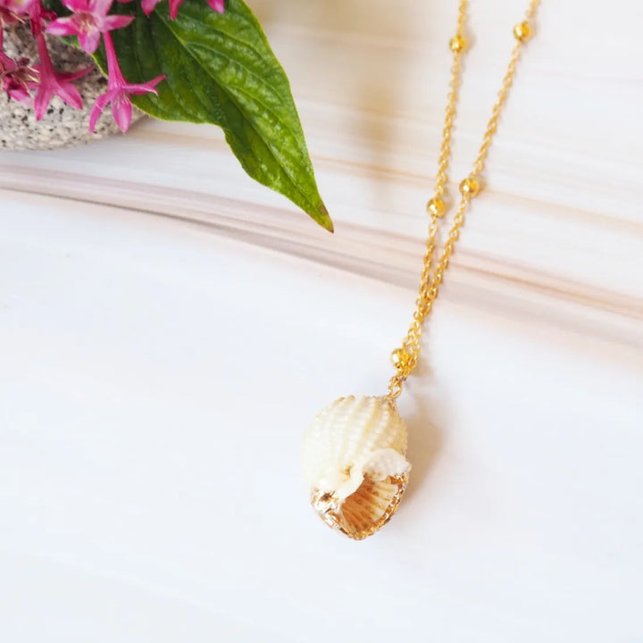 Tonna Tessalata Seashell Hawaiian Pendant Necklace - Made in Hawaii