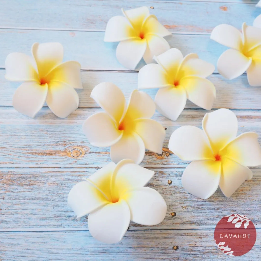 White Lucky Plumeria Flower Hair Clip - Made in Hawaii