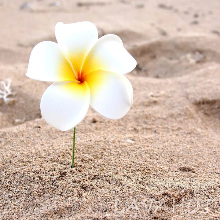 White Plumeria Flower Ear Stick - Made in Hawaii